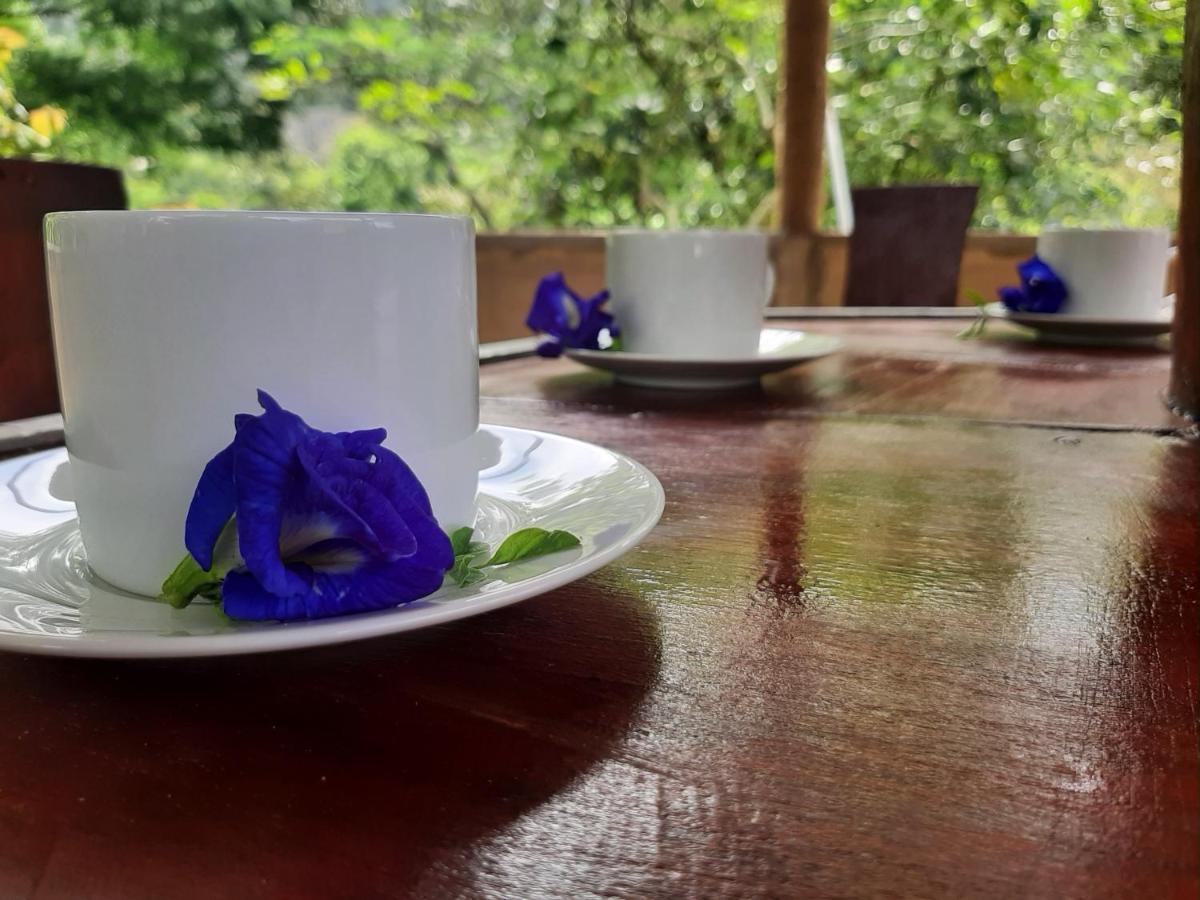 Kande Gedara Resort Monaragala Exteriör bild